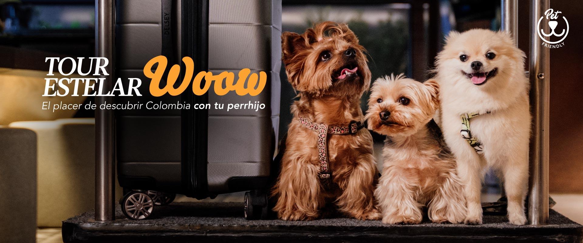 ESTELAR Paipa Hotel & Centro de Convenciones Colombia - Paipa ESTELAR Paipa Hotel & Centro de Convenciones Colombia - Paipa