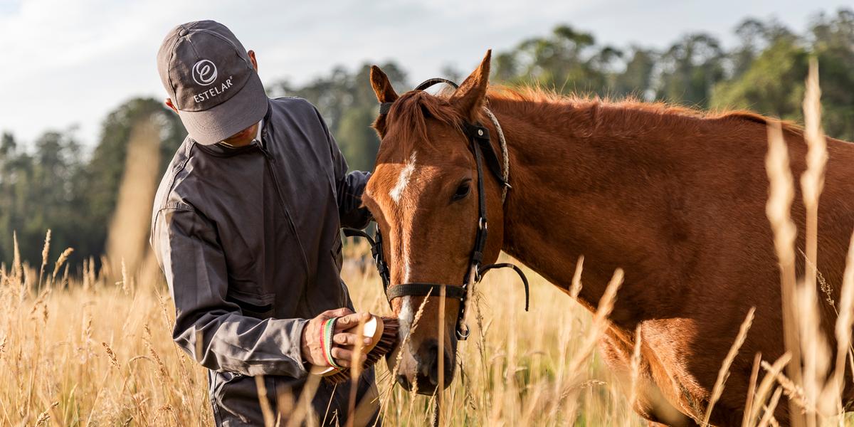 Caballeriza  ESTELAR Paipa Hotel & Centro de Convenciones Colombia - Paipa Caballeriza  ESTELAR Paipa Hotel & Centro de Convenciones Colombia - Paipa